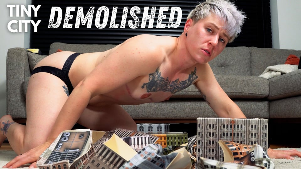 Cover image for "Tiny City Demolished"