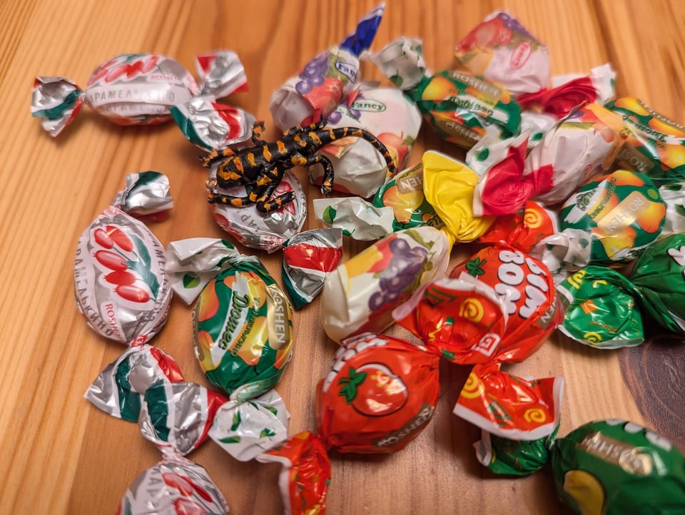 Ukrainian and Croatian hard candy with a tiny six-legged salamander modeled and painted in clay