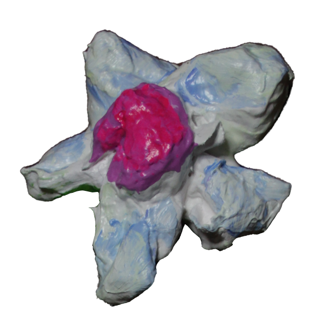 Open call closes 21 Jan / Ticket Prices & Lottery Dates Announced