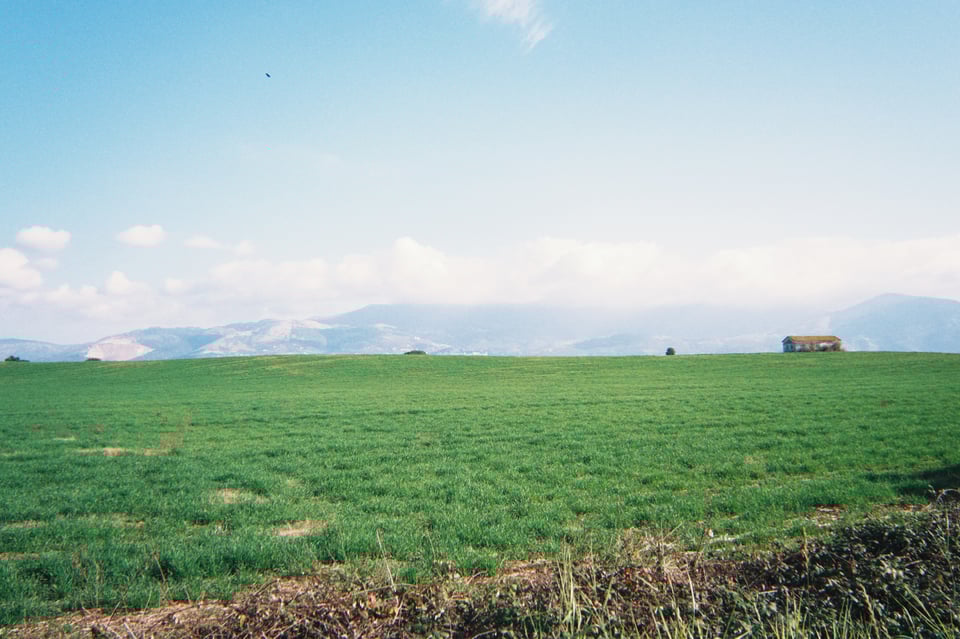 A green field and a blue sky.