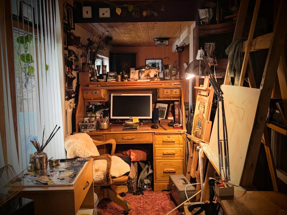 Bronwyn Schuster's Artist Notes: January 