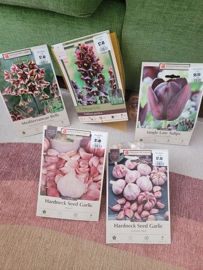 EEDA Newsletter Vol 5, Iss 21: I Answer an Awkwardly Deep Icebreaker Question