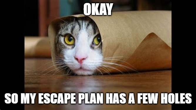 a cat peeking out of a paper roll with the words OKAY, SO MY ESCAPE PLAN HAS A FEW HOLES