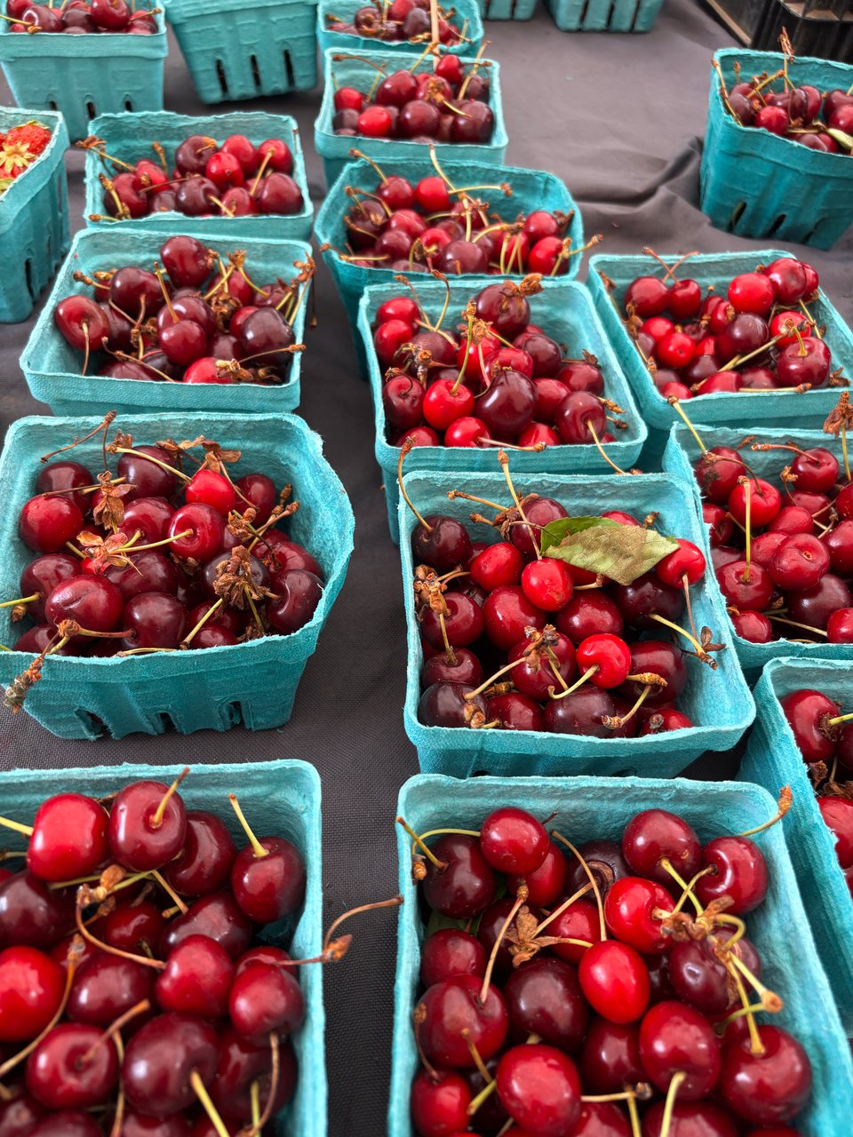 pints of cherries at the farmer's market 