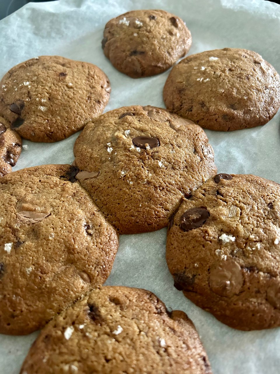 Salt scattered chocolate chip cookies on parchment paper. Image by Rowan Ambrose