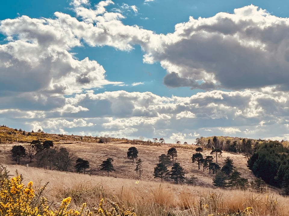 A lovely view across the weald of Ashdown Forest