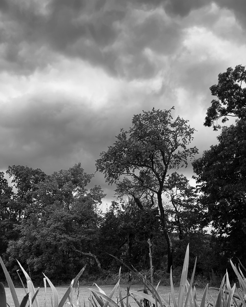 13 — Storm.jpg