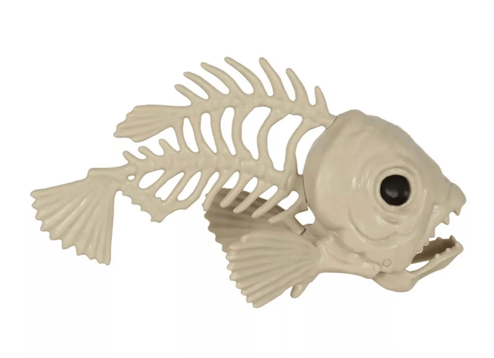 A spooky plastic fish skeleton