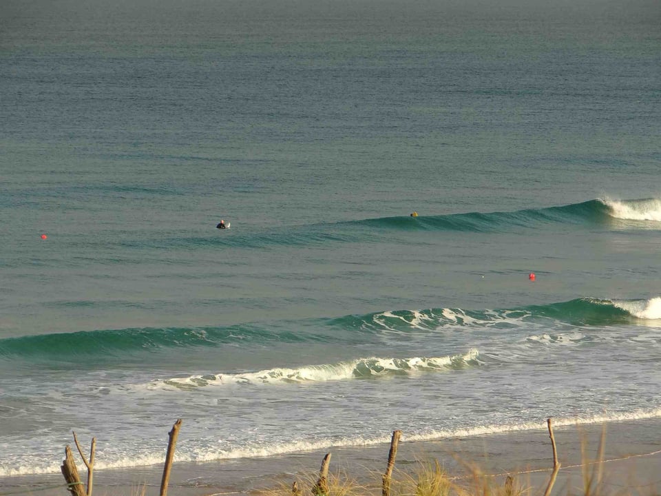 Surfeurs évoluant à quelques mètres des filets maillants ou emmêlants (côte sud des landes)