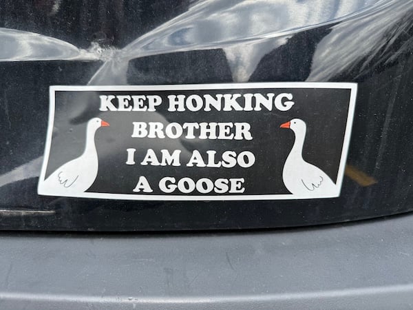 A black bumper sticker on a black car shows two white cartoon geese with orange beaks in side profile, facing each other. The bumper sticker reads, in white capital letters, “Keep honking brother I am also a goose.”