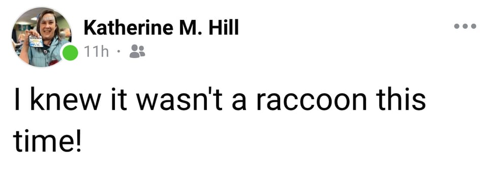 A screenshot of my Facebook post from April 5, "I knew it wasn't a raccoon this time!"