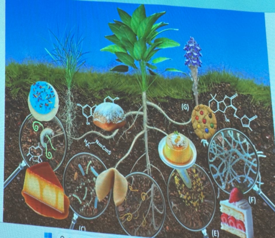 Soil is a feminist.