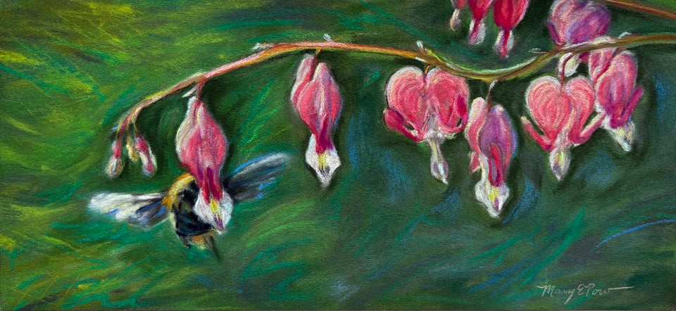 Soft pastel painting by Mary Pow, giant bumblebee dancing with bleeding heart flowers