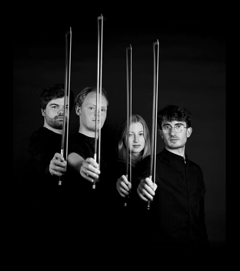 Friends of Cwmdu Music-soon, our Fibonacci Quartet concert