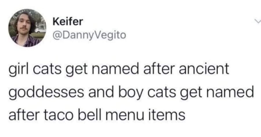 @DannyVegito: girl cats get named after ancient goddesses and boy cats get named after taco bell menu items