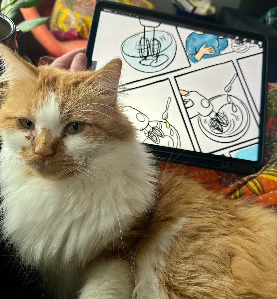 A fluffy orange and white cat obstinately blocking the artist's access to her drawing tablet.