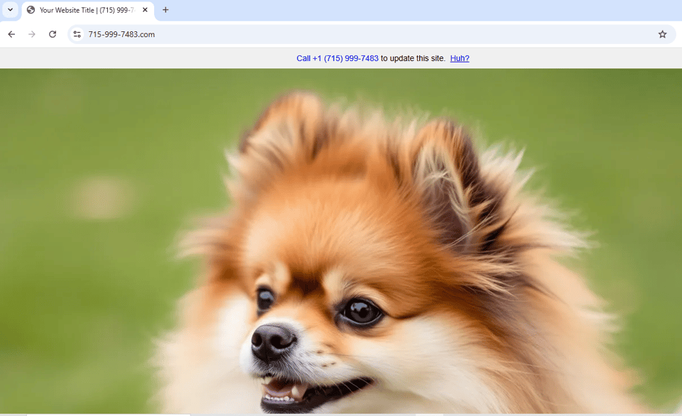 A picture of a Pomeranian dog. At first glance it looks like a photo, but when you look more closely, you can detect the hyperreal style of an AI generated image.