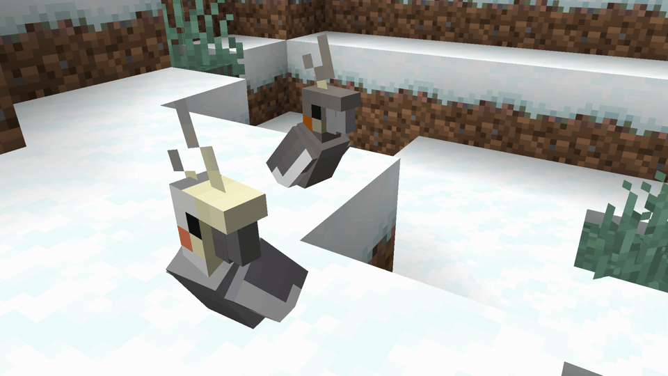 Pair of Cockatiel parrot variants in my latest Aussie Parrots resource pack update