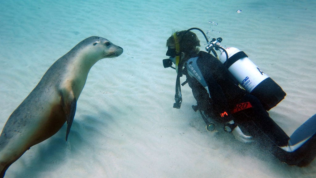 Portoldalban bitladik #019 / Kétpalackos lélekmerülés