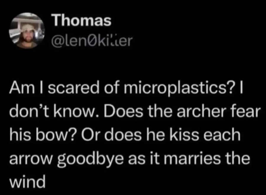 Twitter screenshot.
@len0killer:
Am I scared of microplastics? I don't know. Does the archer fear his bow? Or does he kiss each arrow goodbye as it marries the wind