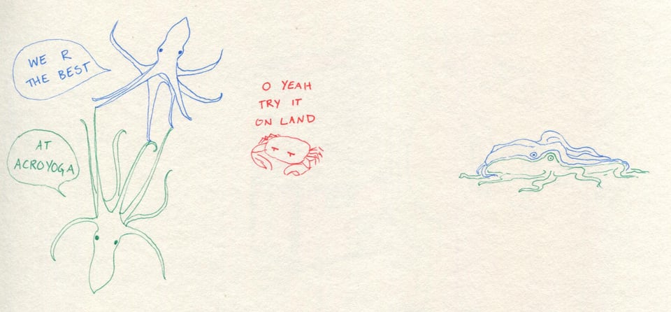 A blue and a green octopus display an elegant balancing pose. The blue octopus says "WE R THE BEST" and the green one finishes "AT ACROYOGA." A skeptical red crab nearby says, "O YEAH TRY IT ON LAND." We then see the two octopuses flopped inelegantly on top of one another under the weight of gravity.