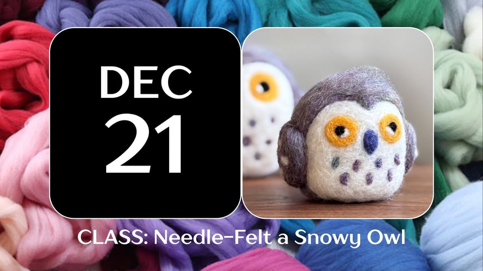 needle felt a snowy owl class