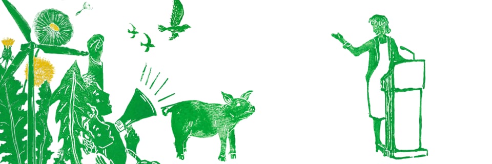 Activists, a pig and a politician