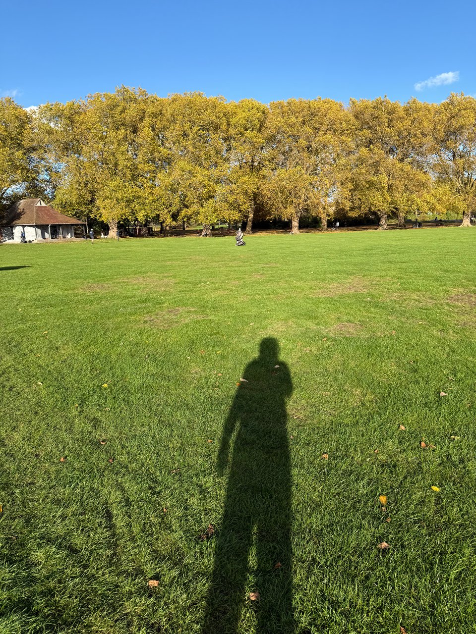 photo of Jesus Green in Cambridge in mid-afternoon light, with a LONG shadow of the photographer in the foreground grass
