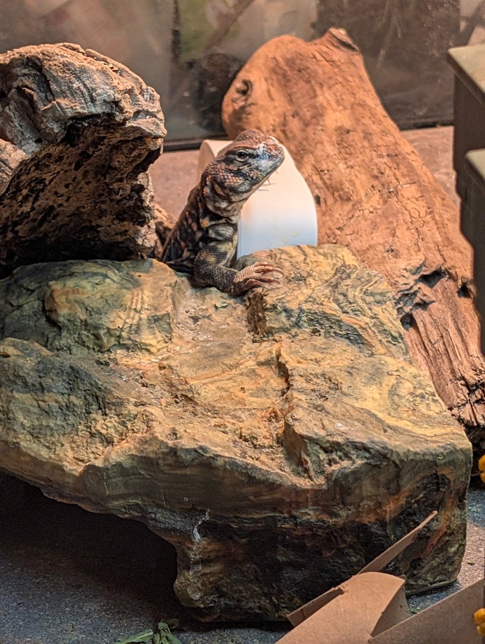 Dead Money Agenda for this week