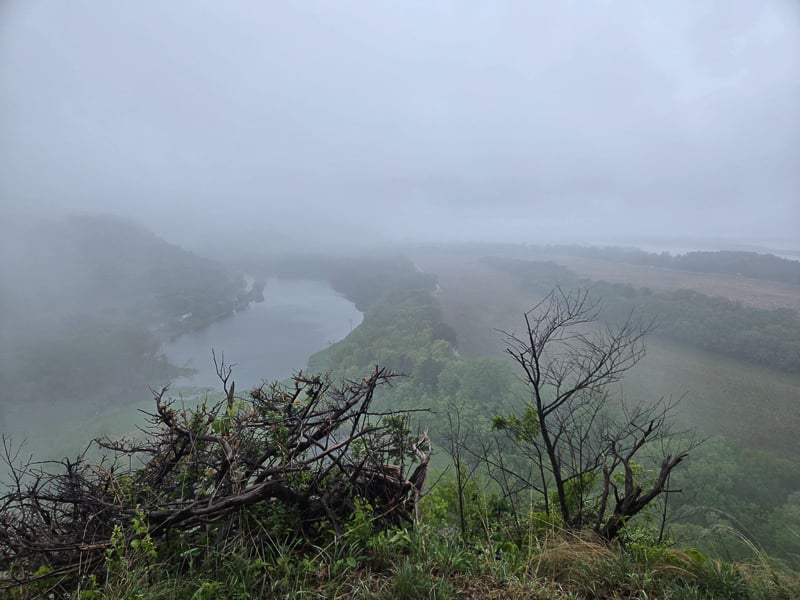 After a bone-dry April, May brought us welcome rain, brightening the myriad greens of our landscape. Here was the scene from Rattlesnake Bluff one recent misty morning, looking northwest toward Wacouta Pond. / Photo by Steve Dietz