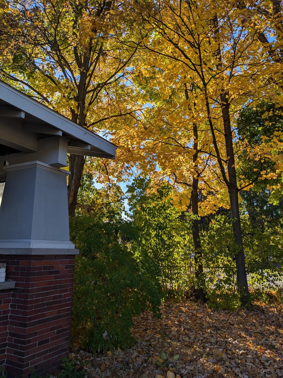 A Particular Autumn Day