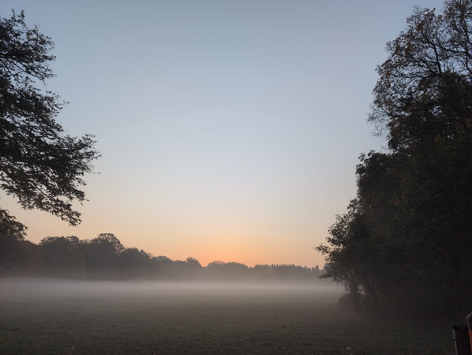 Silhouettes of trees frame a photo of a field full of fog, with tree silhouettes on the horizon behind which the sun is rising. The sky above the sunrise is blue-grey,