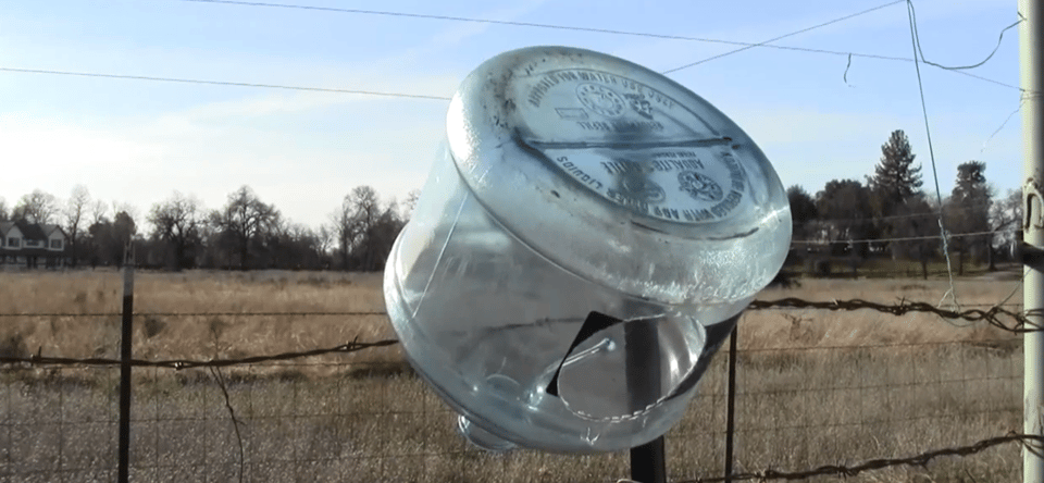 big water jug plastorgan on cattle fence