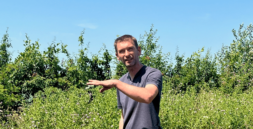 Cursus plantgoed vermeerderen door Martijn Aalbrecht