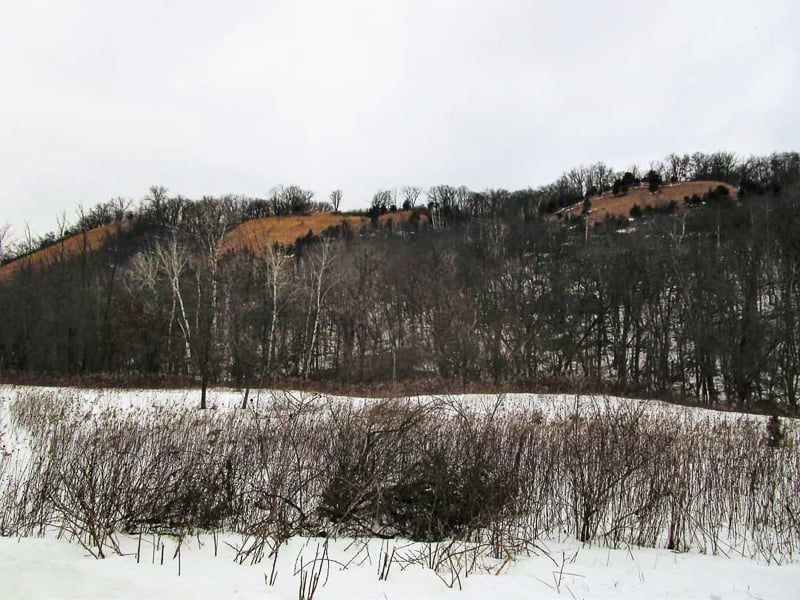 Winter? Spring? March brings us a bit of both in Frontenac State Park. It’s a season of subtle yet powerful awakenings. Savor all it has to offer. / Photo by Pamela Miller