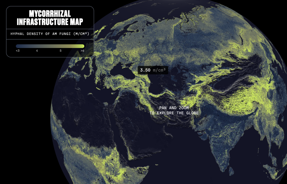 Screenshot_2026_07_30_at_17_55_14_uploaded.png