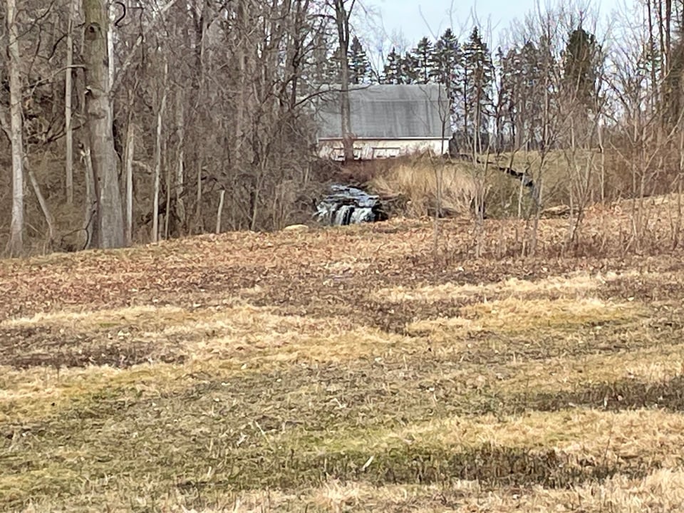 A distant waterfall, seen across a field of dead grass on a clear day in early spring.