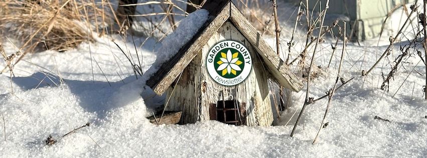 A wooden bird house sits in the snow, with half of its downstairs window buried beneath the snow. The Garden County newsletter logo covers the top window. Around the bird house are dead stems and foliage, casting long shadows in the winter sun.