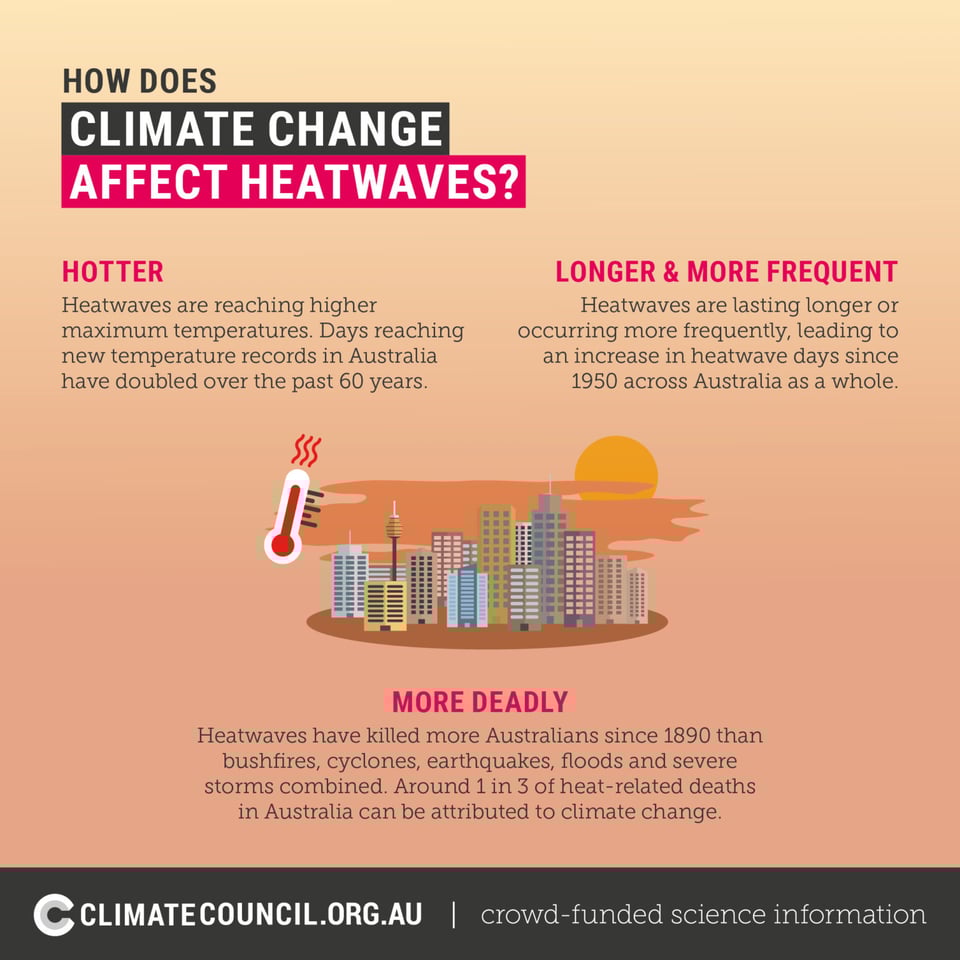 How does climate change affect heatwaves? Hotter: Heatwaves are reaching higher maximum temperatures. Days reaching new temperatire records in Australia have doubled over the past 60 years. LONGER & MORE FREQUENT: Heatwaves are lasting lover or occurring more frequently, leading to an increase in heatwave days across Australia. MORE DEADLY: Heatwaves have killed more Australians since 1890 than bushfries, cyclones, earthquakes and severe storms combined. Around 1 in 3 of heat-related deaths in Australia can be attributed to climate change.