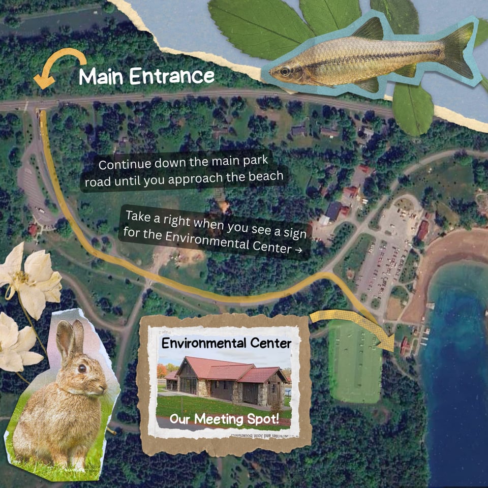 Parking Directions: When you enter through the Main Entrance, Continue down the main park road until you approach the beach and take a right when you see a sign for the Environmental Center. The Environmental Center is right by the water.