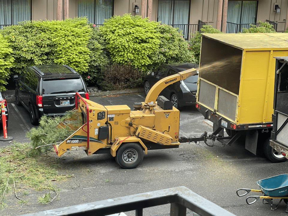 A mulching machine converts a tree branch into much smaller tree parts