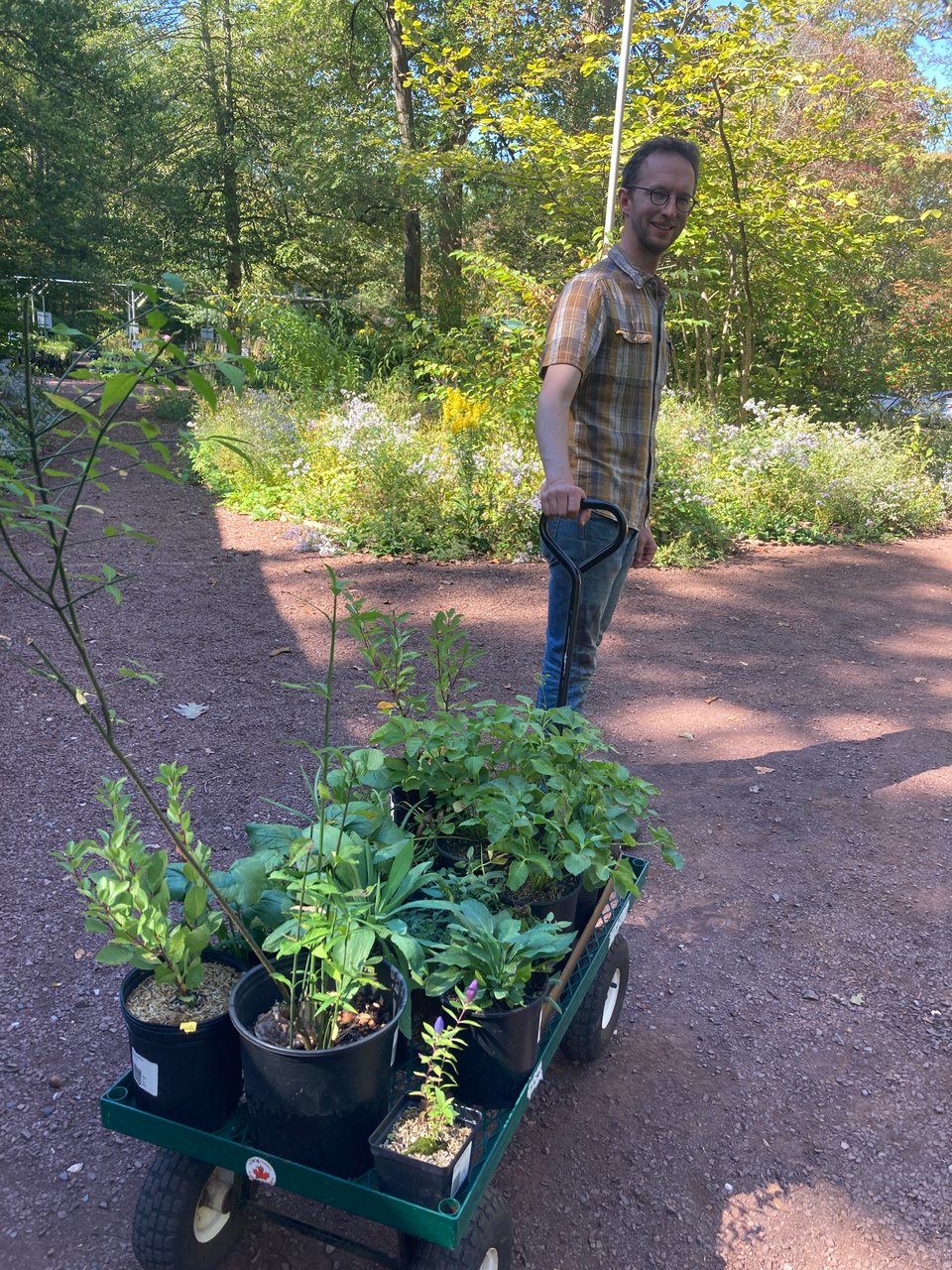 Man in checked shirt pulling green cart of plants in wooded setting