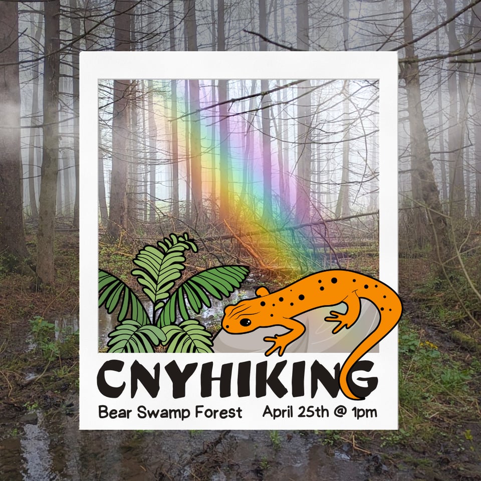 🌈 Upcoming Hike at Bear Swamp Forest! 4/25 @ 1PM