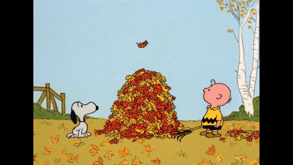 Snoopy and Charlie Brown with a pile of leaves