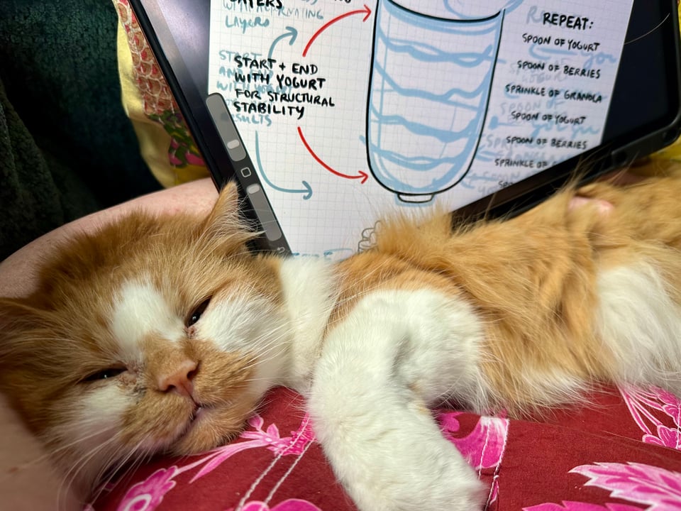 A fluffy orange and white kitty gazing sleepily at the camera