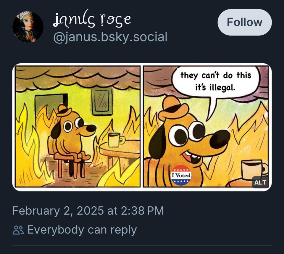 A Bluesky post from 2:38 PM February 2, 2025 by a user named Janus Rose @janus.bsky.social featuring the two-panel comic meme of the dog in the burning house with a cup of coffee. In the second panel, the dog has an