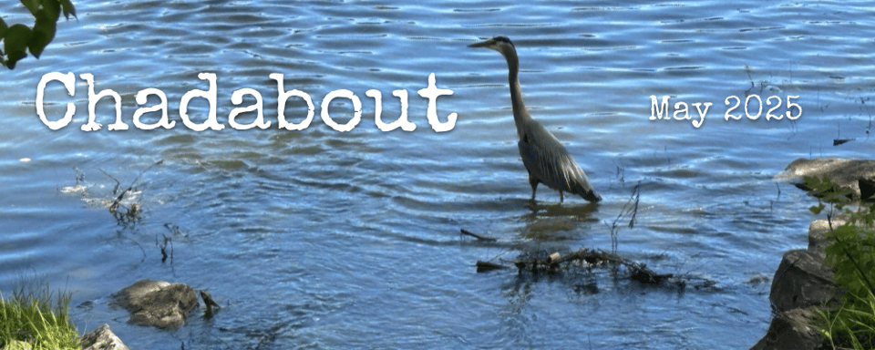 Chadabout May 2025