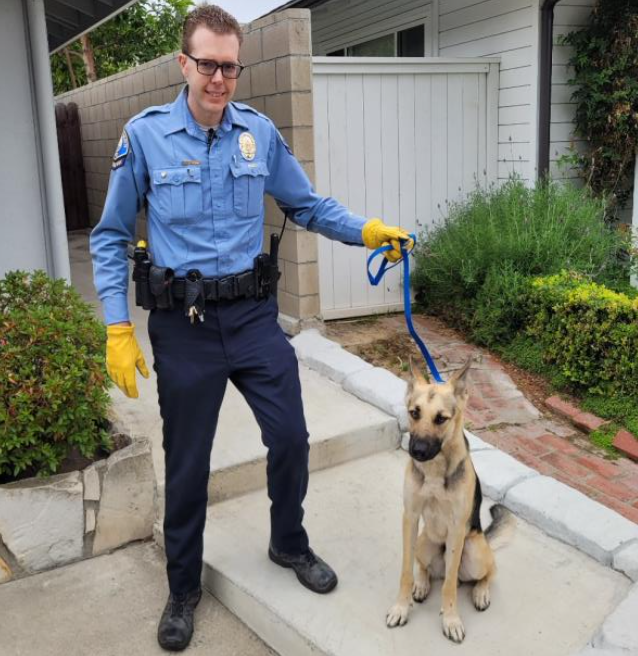 Dover Shores News - June