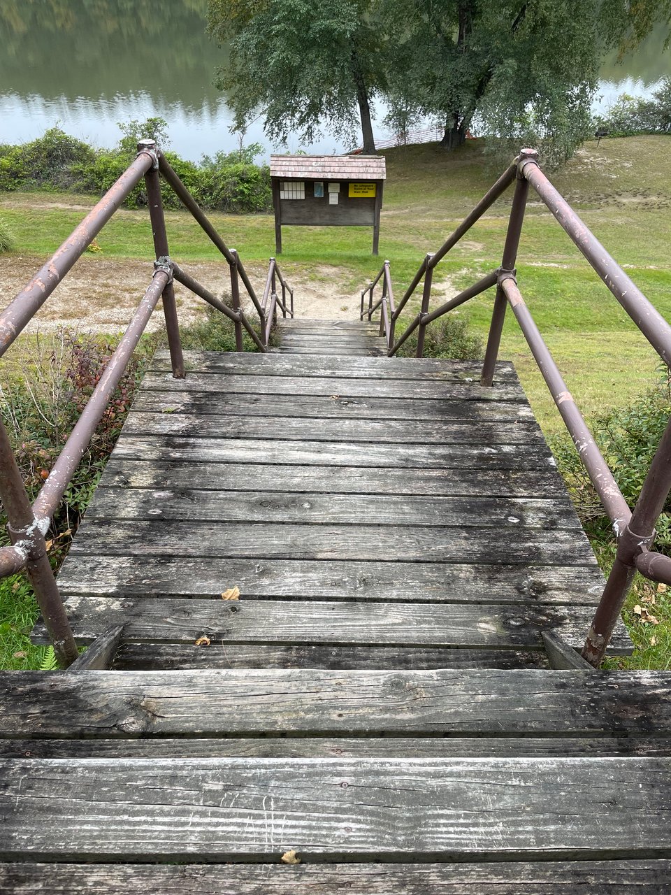 Wallowing in The Next Thing