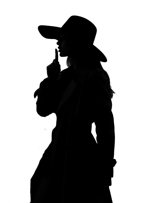 Secretly Sarah's Newsletter logo